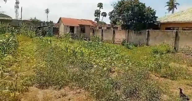 Plot for Sale in Tegeta - 1