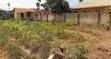 Plot for Sale in Tegeta - 4