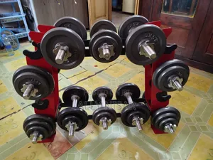 Adjustable Dumbbell Set with Rack (76kg Total)