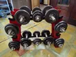Adjustable Dumbbell Set with Rack (76kg Total) - 1