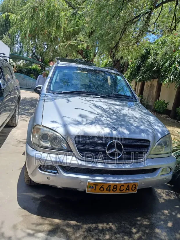 Mercedes-Benz M Class 2004 Silver - 1