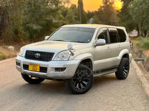 Toyota Land Cruiser Prado 2004 Silver