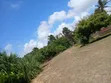 Kiwanja cha Pwani Kinauzwa - Kimbiji, Kigamboni - 3