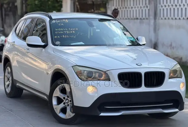 BMW X1 2010 - 1