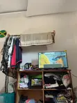 Cloth Cabinet with Hanger Holder - 2