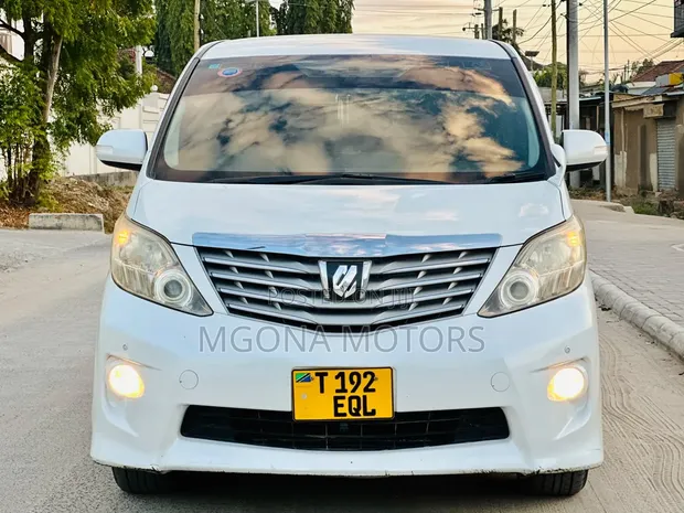 Toyota Alphard Mwaka 2009 - 1