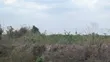 Heavy Industrial Plot for Sale, Kibaha Zegereni - 4