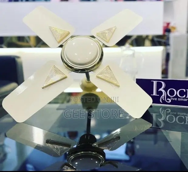 Roch Ceiling Fan 24 Inch - 1