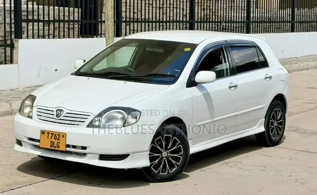 Toyota Allex 2003 Pearl - 1