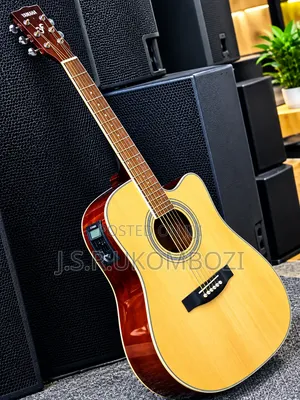 Brand New Acoustic-Electric Guitar - 6 Strings