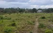 Eneo la Viwanda kwa Mauzo - Eka 6.4 Kisemvule Mkuranga, Pwani - 3
