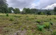 Eneo la Viwanda kwa Mauzo - Eka 6.4 Kisemvule Mkuranga, Pwani - 4