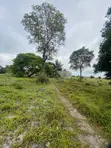 Plot for Sale Mkamba, Kigamboni - 2