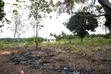 New Project Land for Sale, Bagamoyo Kilomo (Near Primary School) - 1