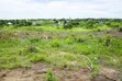 New Project Land for Sale, Bagamoyo Kilomo (Near Primary School) - 2