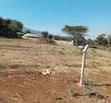 Kikwe, East Africa Road - Kiwanja cha Makazi kinauzwa - 3