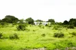 Kiwanja Kinauzwa Kigamboni Tulivu - 2