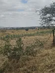 Viwanja Mradi Mpya Kisongo Vinauzwa - 2