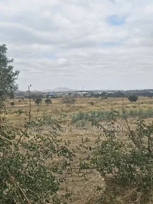 Viwanja Mradi Mpya Kisongo Vinauzwa