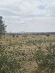 Viwanja Mradi Mpya Kisongo Vinauzwa - 3