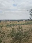 Viwanja Mradi Mpya Kisongo Vinauzwa - 4