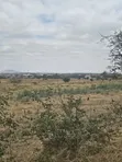 Viwanja Mradi Mpya Kisongo Vinauzwa - 5