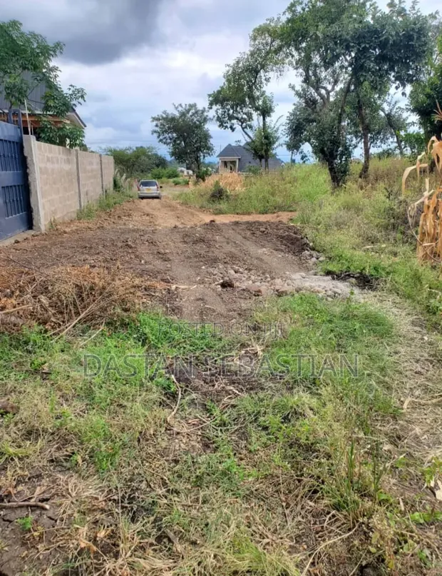 Residential Land for Sale in Arusha, Maji Ya Chai - 1