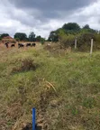 Residential Land for Sale in Arusha, Maji Ya Chai - 2