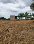 Residential Land for Sale in Arusha, Maji Ya Chai - 3