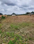Residential Land for Sale in Arusha, Maji Ya Chai - 4