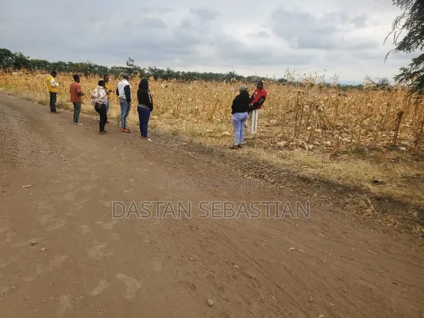 Viwanja vya Makazi kwa Ajili ya Kuuzwa - Boma Ng'ombe - 1