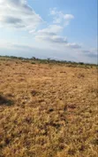 Viwanja Vinauzwa Karibu na Stendi Mpya ya Mabasi, Morombo, Arusha - 5