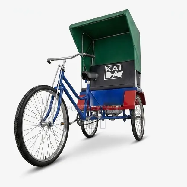 New Electric Tricycle 2025 - Black - 1