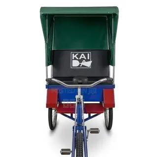 Tricycle Mpya ya Umeme 2025 - Nyeusi