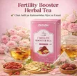 Fertility Booster Herbal Tea - Natural Support - 1