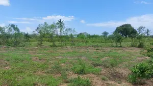 Residential Land for Sale in Bagamoyo