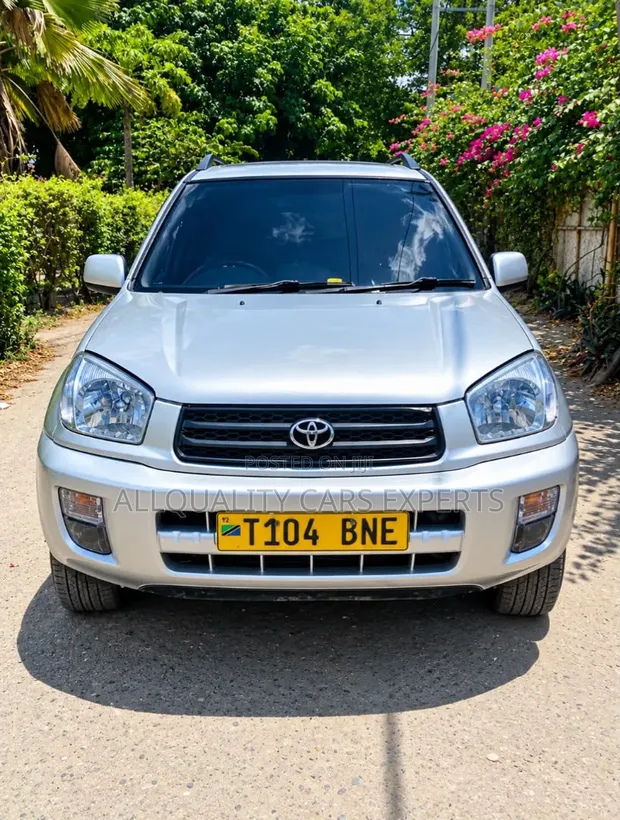 Toyota RAV4 2002 - 1
