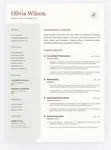 Huduma ya Kuandika CV za Kisasa - PDF - 3