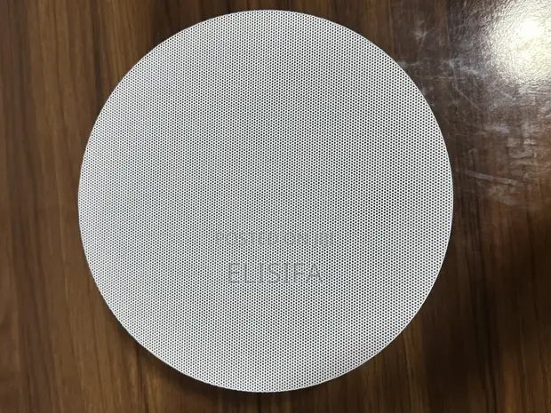 30W Ceiling Speaker - 1