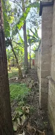 Prime Land for Sale in Arusha - Ambureni - 2