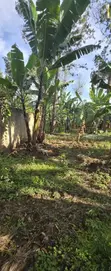 Prime Land for Sale in Arusha - Ambureni - 3