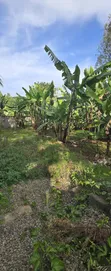 Prime Land for Sale in Arusha - Ambureni - 4