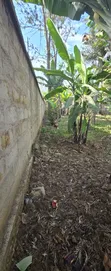 Prime Land for Sale in Arusha - Ambureni - 5