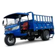 Tricycle Tipper Mpya 2021 Bluu - 1