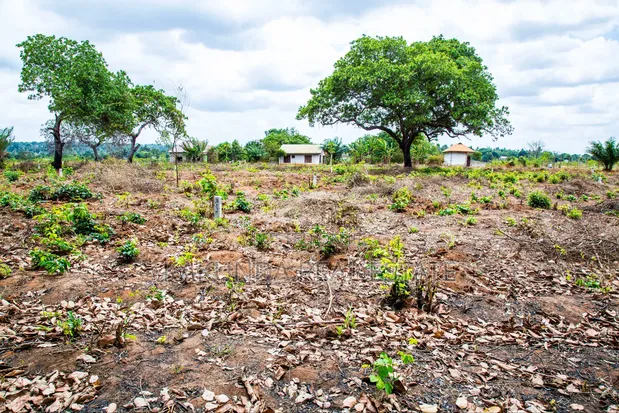 Land for Sale in Chanika Dondwe - 1