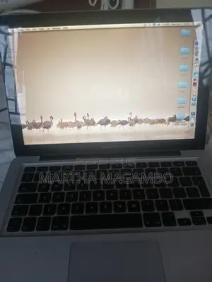 Apple MacBook 2010 Laptop - 4GB RAM, 250GB SSD