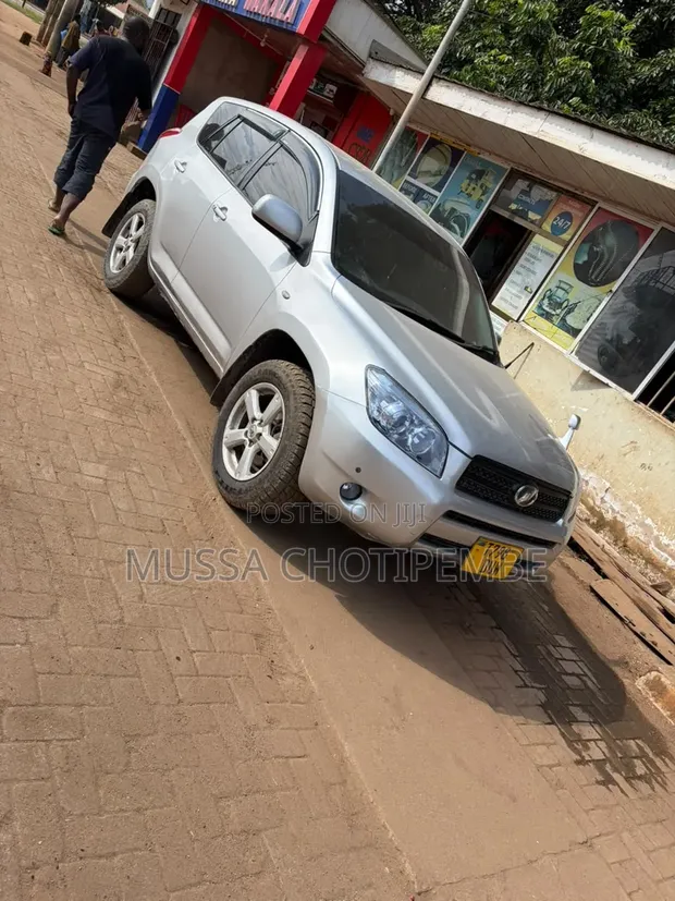 Toyota RAV4 2008 Silver - 1