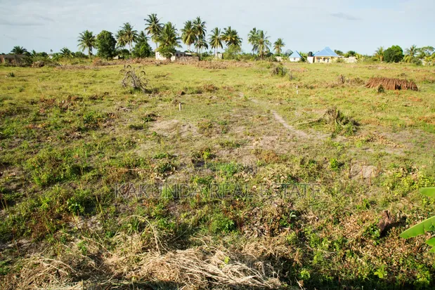 Residential Plots for Sale in Vikindu Malela - 1