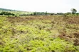 Plot for Sale in Kibaha Kumba Kwa Mfipa - 1