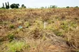 Plot for Sale in Kibaha Kumba Kwa Mfipa - 3